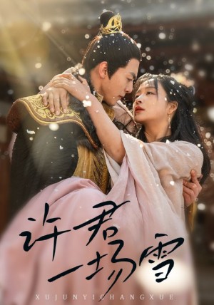 许君一场雪（43集）