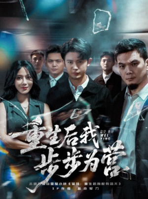 重生后我步步为营(81集)