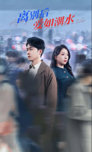 离别后爱如潮水（100集）