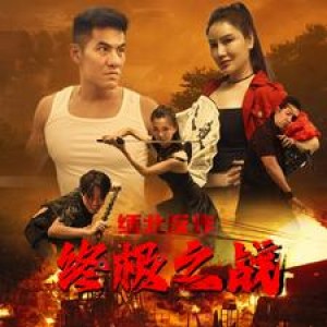 《缅北反诈终极之战》(81集)