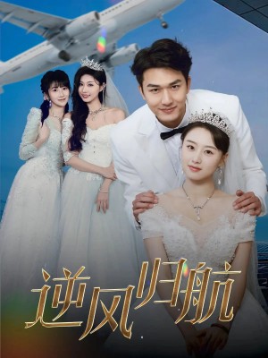 逆风归航（55集）