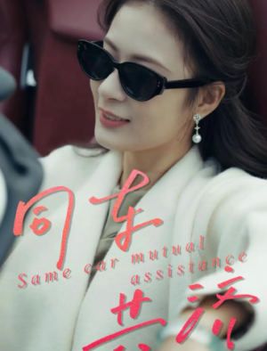 同车共济（39集）