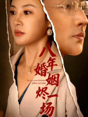 八年婚姻烬一场(78集)