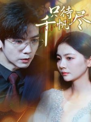 只待千帆尽（40集）