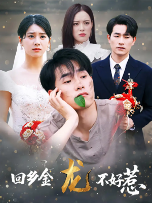 回乡金龙不好惹（74集）