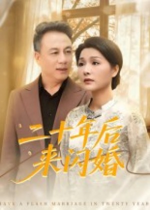二十年后来闪婚(60集)