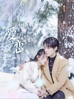 不为人知的爱恋（70集）