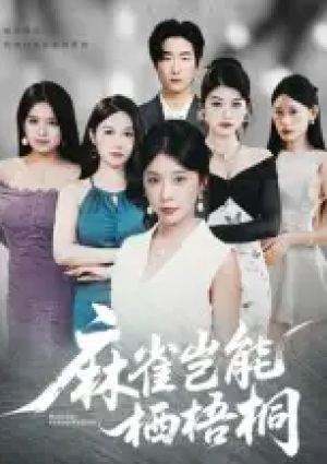 麻雀岂能栖梧桐(31集)