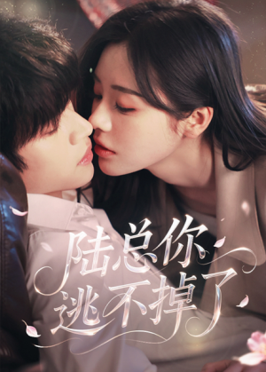 陆总你逃不掉了（44集）