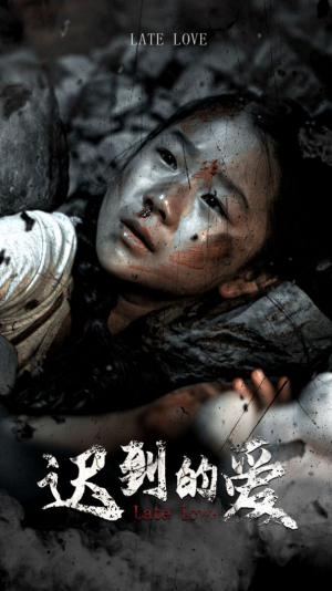 《迟到的爱》(48集)