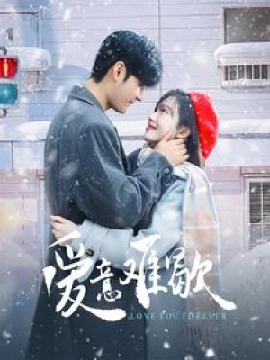 爱意难歇（99集）