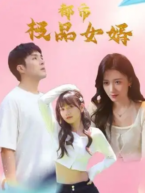 都市极品女婿&都市逍遥女婿(96集)