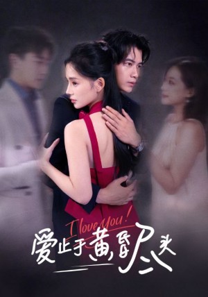 爱止于黄昏尽头(60集)