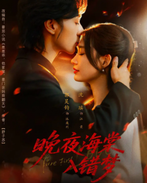 晚夜海棠入错梦(80集)