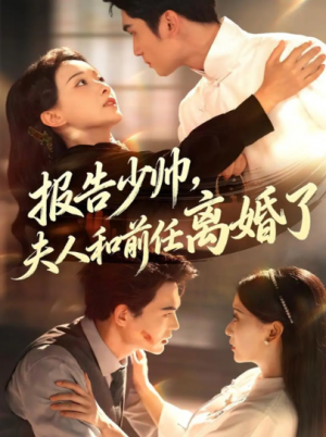 报告少帅,夫人和前任离婚了(81集)