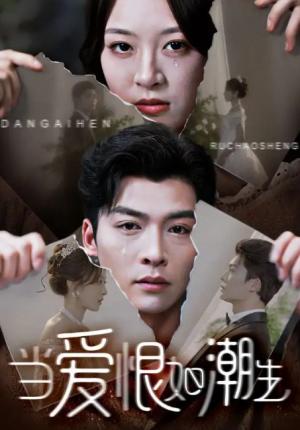 当爱恨如潮生（71集）