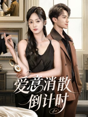 爱意消散倒计时（35集）