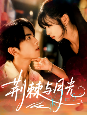 荆棘与月光（60集）