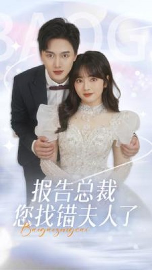 《报告总裁您找错夫人了》(93集)