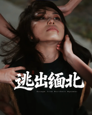 逃出缅北(62集)