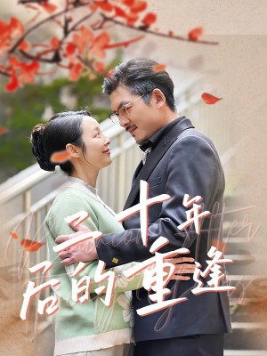 二十年后的重逢（70集）