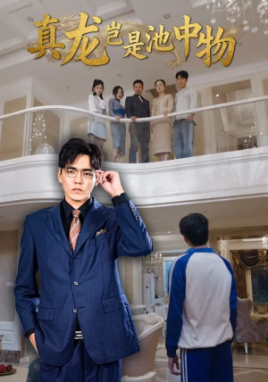 真龙岂是池中物（80集）