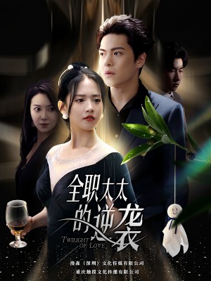 全职太太的逆袭(2婚光芒万丈)(80集)