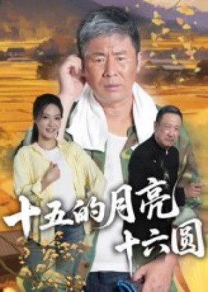 十五的月亮十六圆(60集)