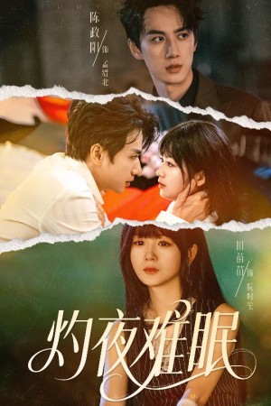 灼夜难眠(60集)