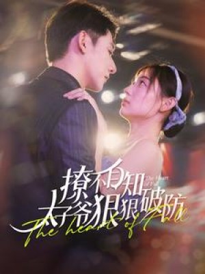 撩不自知太子爷狠狠破防（100集）