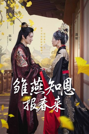 雏燕知恩报春来(36集)