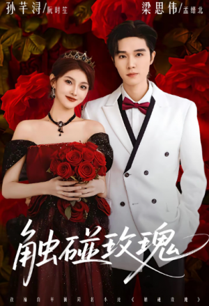 触碰玫瑰（80集）