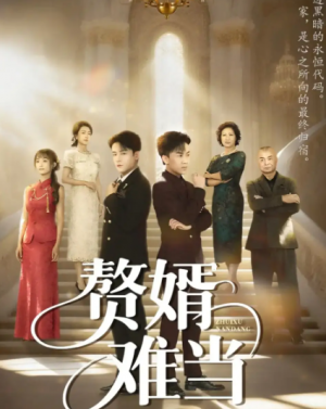 婿业难成&赘婿难当（69集）