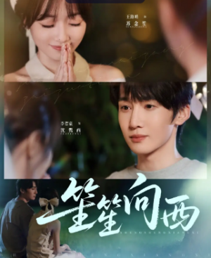 笙笙向西(75集)