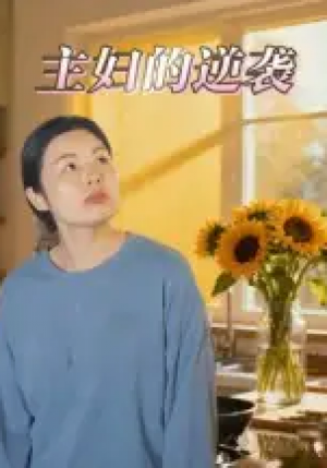 主妇的逆袭(28集)