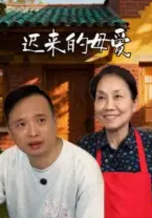 迟来的母爱(42集)