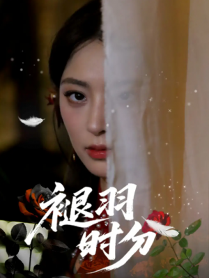 褪羽时分（61集）