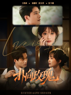 扑向玫瑰（77集）