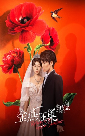 金燕还巢当感恩(55集)