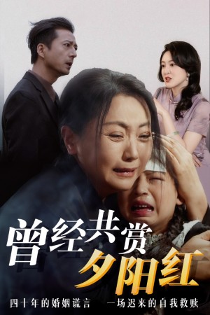 曾经共赏夕阳红（60集）