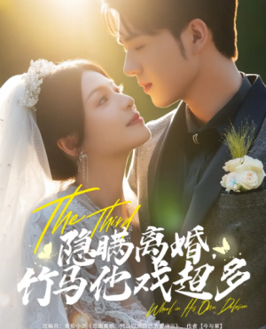 隐瞒离婚,竹马他戏超多&隐瞒离婚竹马他戏超多(63集)