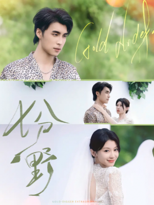 七分野（78集）