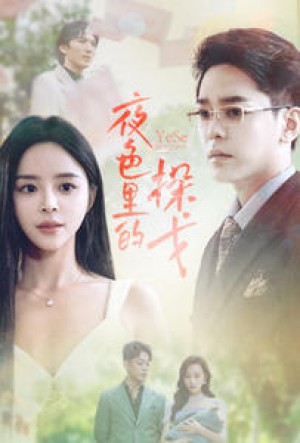 《夜色里的探戈》(30集)