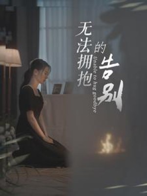 《无法拥抱的告别》(31集)