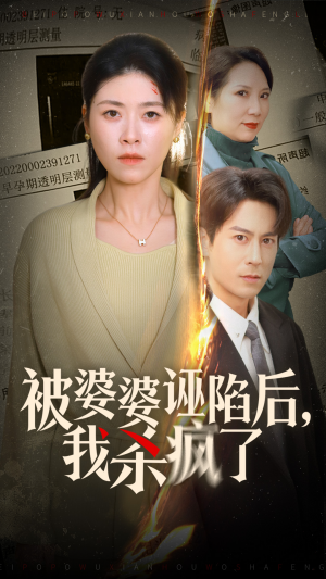 被婆婆诬陷后我杀疯了（30集）