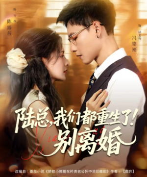 陆总我们都重生了!别离婚&陆总我们都重生了别离婚(79集)