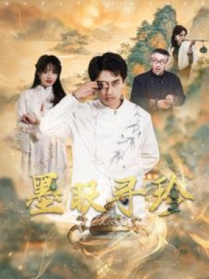 墨眼寻珍（87集）