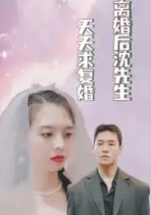 离婚后沈先生天天求复婚(100集)