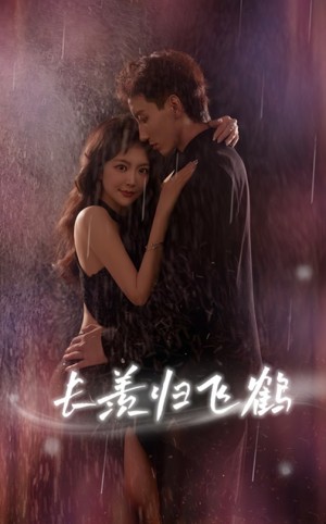 长羡归飞鹤 (70集)