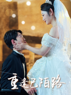《重逢已陌路(林千金她装不下去了)她如月光碎向星夜》(80集)